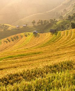 Tour du lịch Sapa 3 ngày 2 đêm