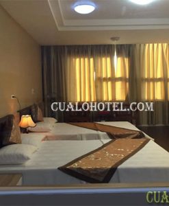 CHUNG CƯ MƯỜNG THANH CỬA LÒ
